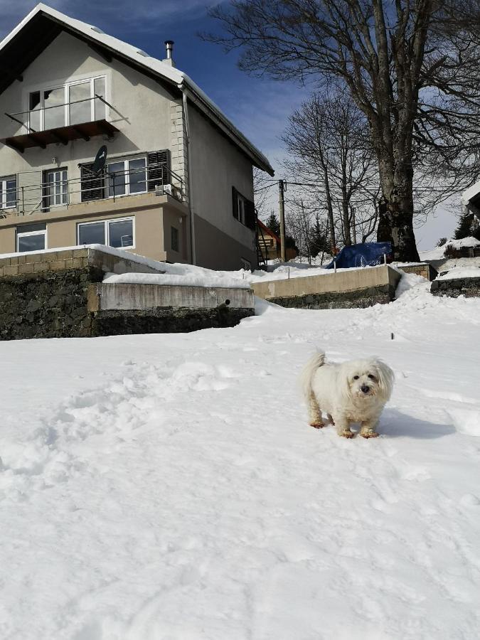 Lägenhet Tonica Lokve